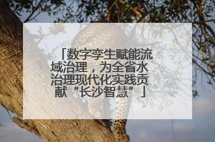 数字孪生赋能流域治理，为全省水治理现代化实践贡献“长沙智慧”